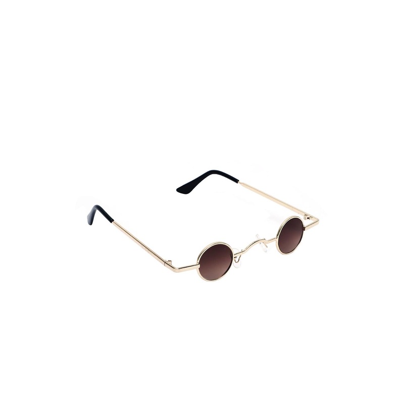 Floyd Unisex Brown Lens & Gold-Toned Round Sunglasses with UV Protected Lens-71_GOLD_BROWN