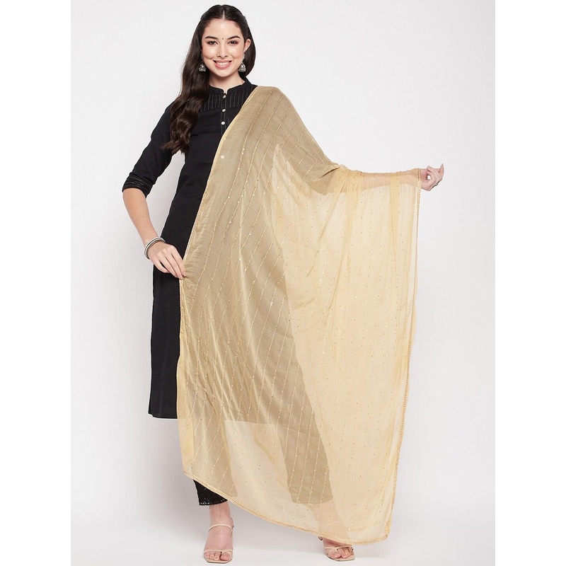 Clora Creation Embroidered Chiffon Dupatta With Sequinned