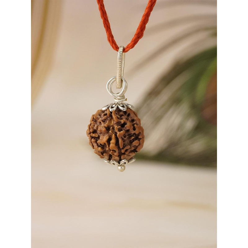 Japam 5 Mukhi Nepali Rudraksha – Paanch Mukhi