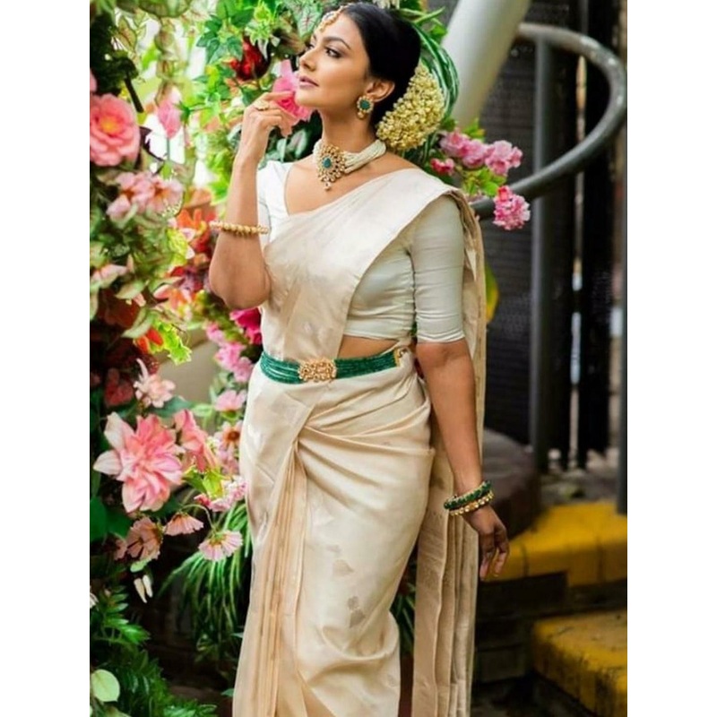 YAMUNE Women Ethnic Motifs Woven Design Banarasi Saree